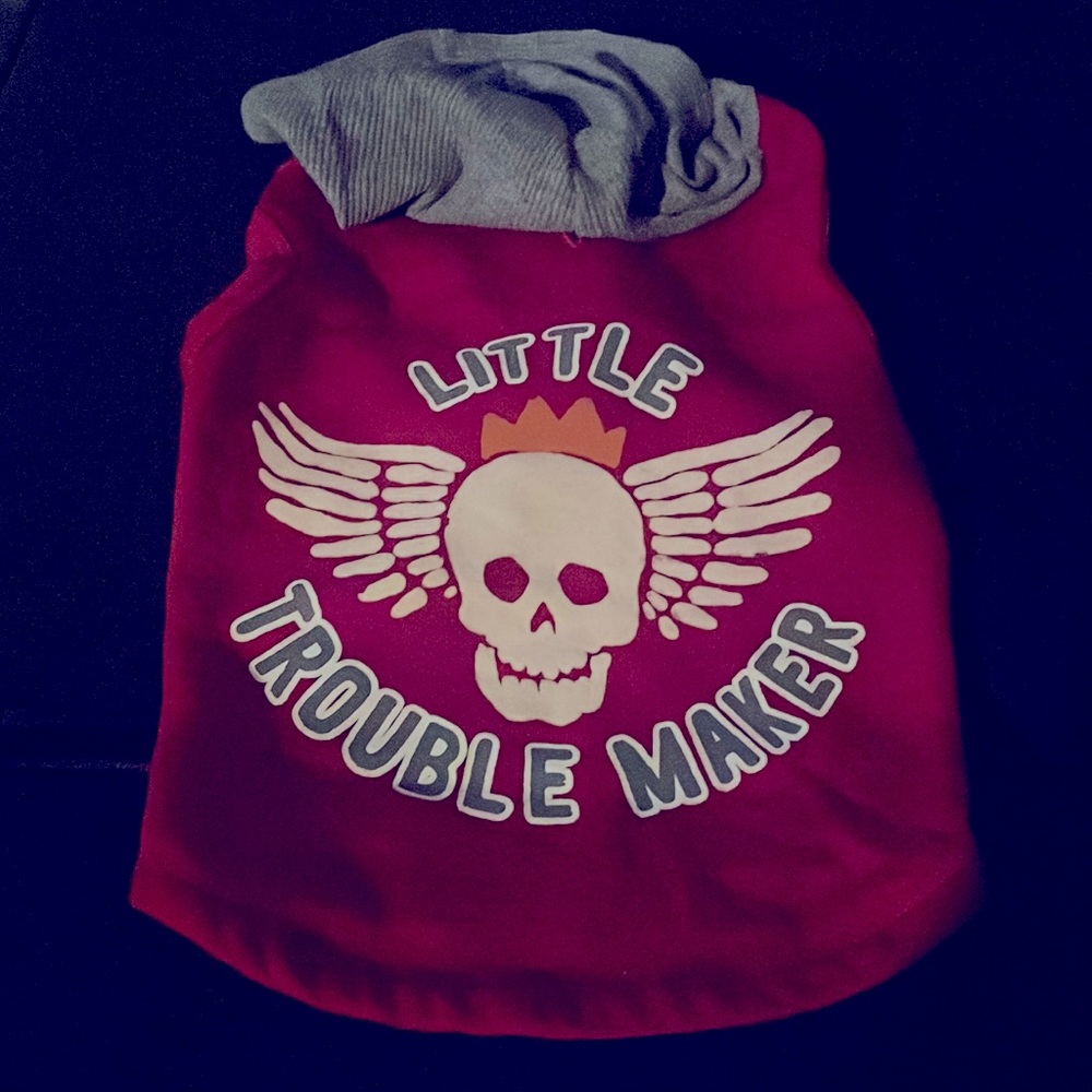 Little Troublemaker red sleeveless tank sweatshirt with gray hood for doggo.